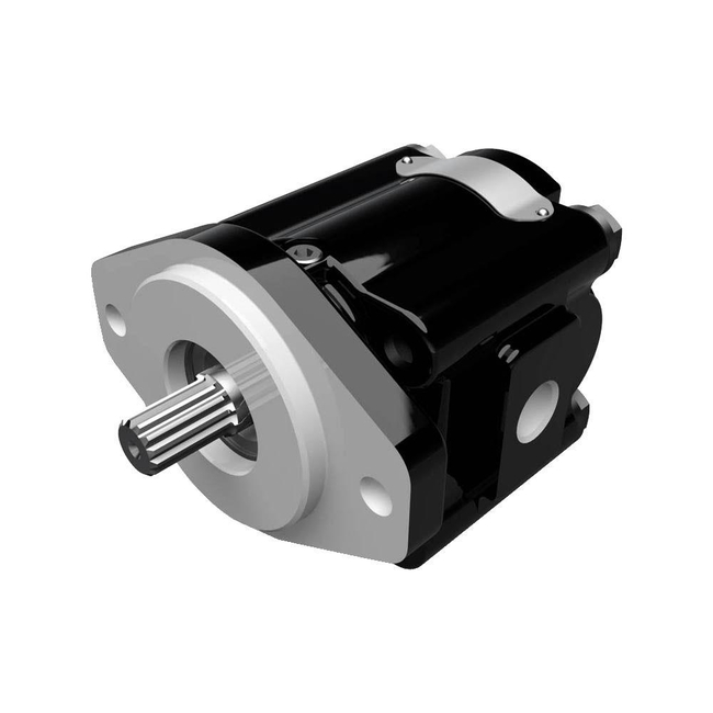 Cast Iron Pumps – PGM031 Series